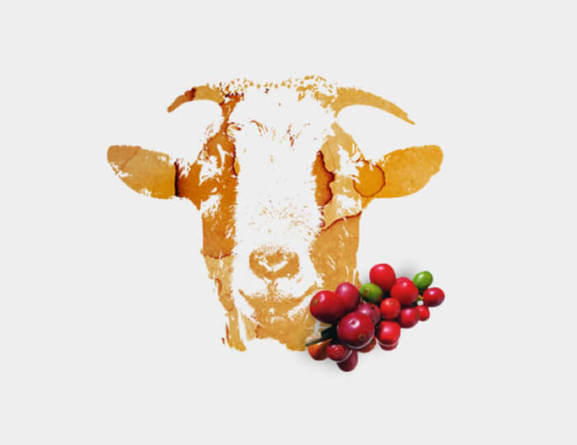  El pastor y las cabras}