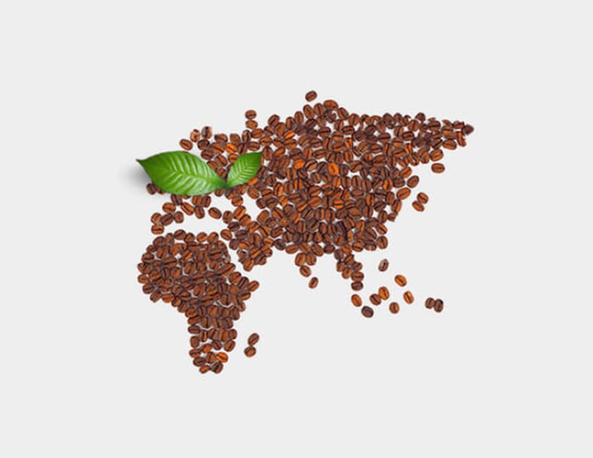  La llegada a Europa}