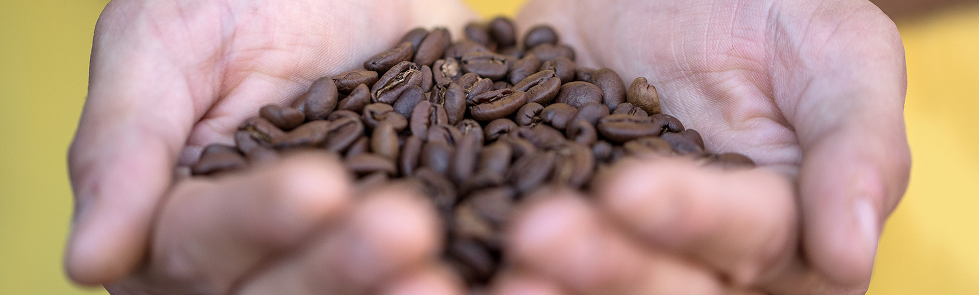   DELTA Q   Detrás de cada momento Delta Q, hay una larga historia…  