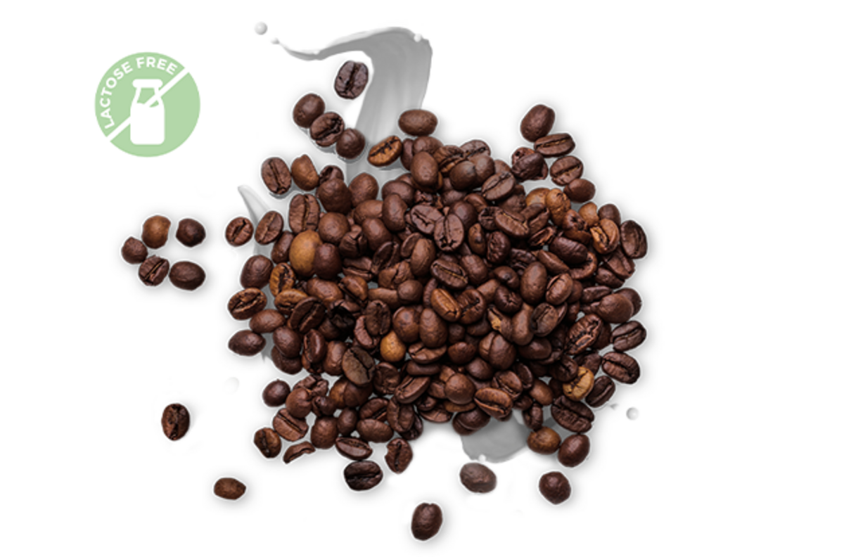 Latte Machiatto sin Lactosa Go Chill 230 ml