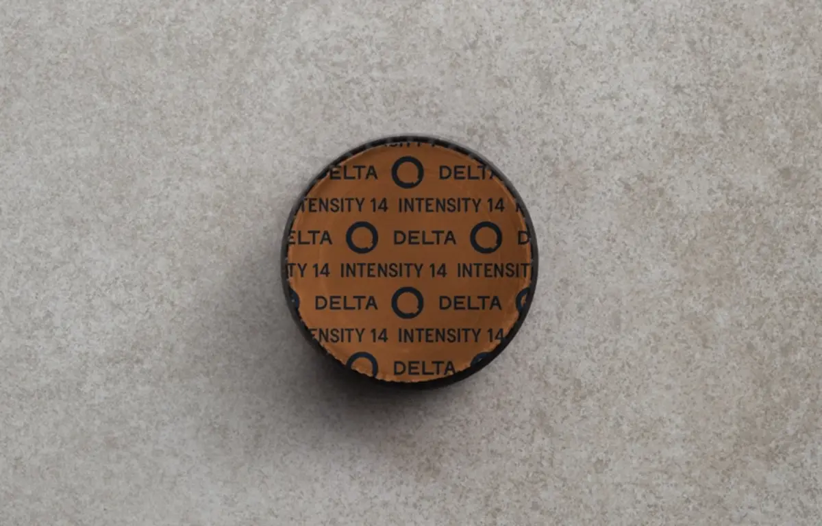 Delta Q EpiQ 