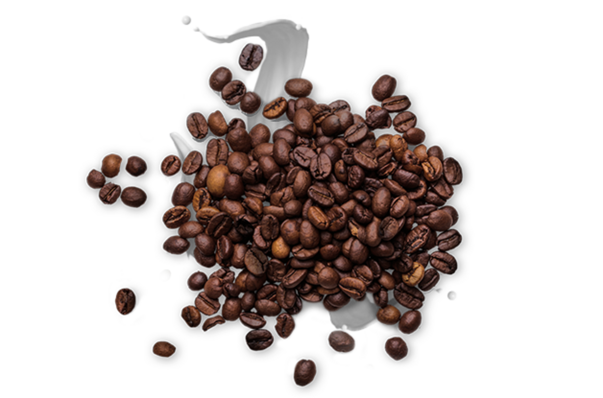 Caffe Latte Go Chill 230 ml